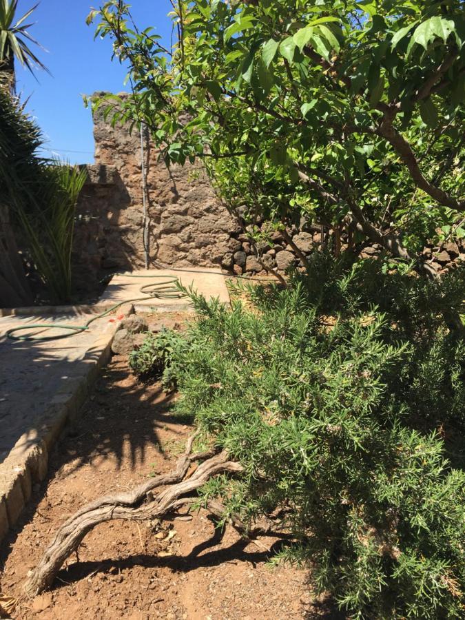 Cactus B&B Le Casette Di Marilena Pantelleria Extérieur photo